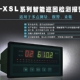 ����Ѳ�z�x NZ-XSL